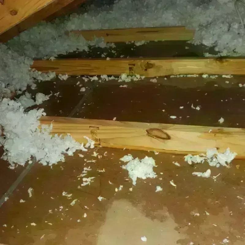 Attic Water Damage in Silver Lake, OH