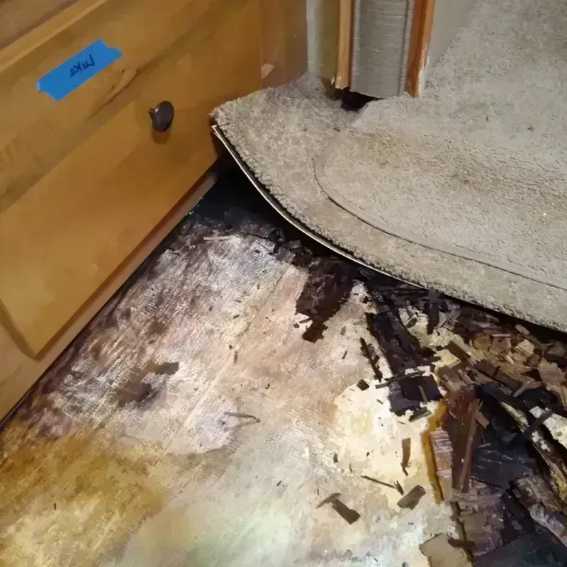 Wood Floor Water Damage in Silver Lake, OH